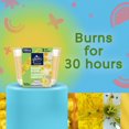 thumbnail image 2 of Glade® Scented Candle Air Freshener, Radiant Bloom™, 2 of 8