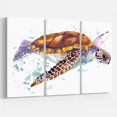 thumbnail image 1 of Designart - Brown Sea Turtle Watercolor - Contemporary Animal Art Canvas, 1 of 4