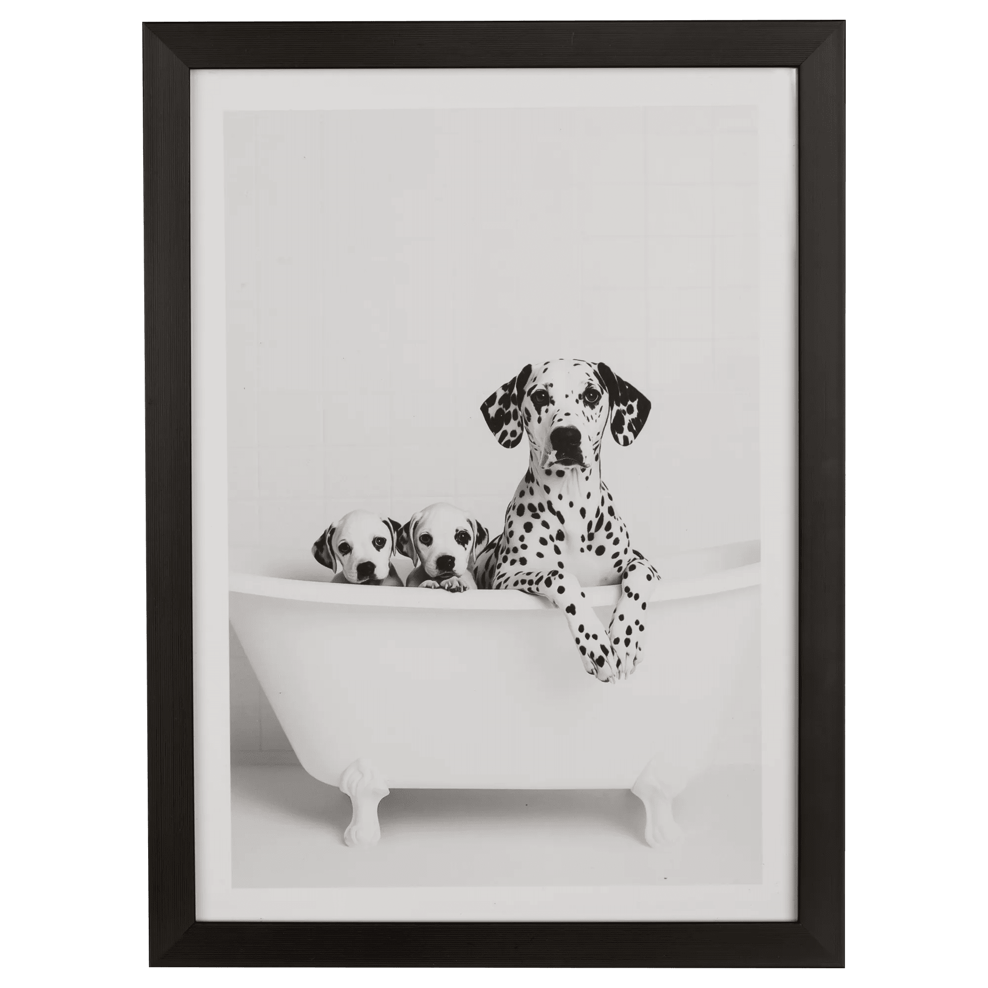 Bouclair dalmatien dans bain cadre mural