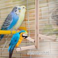 thumbnail image 4 of Branches, Stand Toy  Perches, Wooden Activity Perches Cage Non- Pets Birds For Parrots Animals, 4 of 8