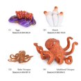 thumbnail image 2 of pitrice 1 Set Spade Worm Model Premium Plastic Material Meaningful Insect Figurines Early Educational Growing Models for School Project octopus type 1, 2 of 6