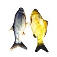 thumbnail image 2 of Labymos Cataire Farci Faux Poisson Simulation Électrique en Peluche Poisson USB Rechargeable Lavable Chat Jouet Interactif, 2 of 8