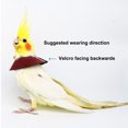 thumbnail image 4 of CBFFDC Dispositif de Retenue pour Oiseaux Collier de Récupération Ajustable pour Perroquet Anti-Morsure Protection contre les Blessures Attache Fixation Collier pour Oiseaux Accessoire pour Oiseau de Compagnie, 4 of 7