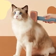 thumbnail image 1 of Cat Grooming Brush for Hair Removal and Detangling with Needle Comb Design, 1 of 3