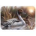 thumbnail image 1 of Pintails de Cuisine & Tapis de Bain&44; 20 x 30, 1 of 1