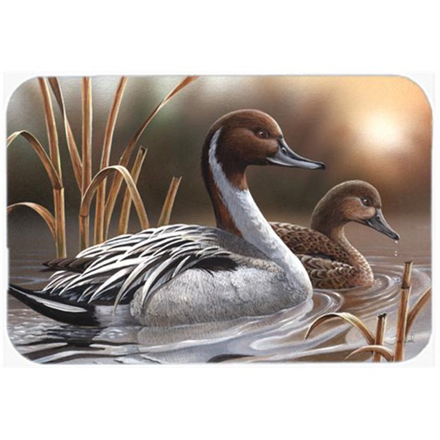 Pintails de Cuisine & Tapis de Bain&44; 20 x 30