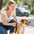 thumbnail image 4 of Reflective Nylon Dog Collar Heavy Duty Pet Collar with Metal Quick Release Buckle Durable and Adjustable for Medium to Large Dogs, 4 of 4