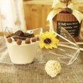 thumbnail image 2 of 50 Pcs Dessert Cups with 50 Spoons Clear 3.38oz Plastic Cheesecake Parfait Pots Reusable Parfait Appetizer Cup Transparent Dessert Cup Bowl for Pudding Mousse Snacks, 2 of 9