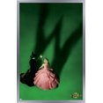 thumbnail image 1 of Wicked - Fiche d'introduction, 1 of 4