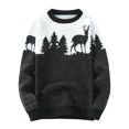 thumbnail image 1 of Pisexur Chandails de Noël pour Hommes Mode Imprimé de Cerf de Noël Chandail Tricoté Décontracté à Manches Longues Col Rond Automne Hiver, 1 of 6