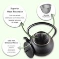 thumbnail image 3 of Large 66 OZ Hobnail Cast Iron Teapot Enameled Interior and Stainless Steel Infuser, 3 of 6