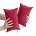thumbnail image 1 of Harpily 2 Pack Microfiber Soft Tiny Pillows Machine Washable Travel Pillows 11 X 7 Red, 1 of 4