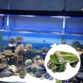 thumbnail image 3 of DOLITY Simuler Rocher Pierre Reptile Cachette Grotte Serpent Tortue Cache Repos Tank I, 3 of 9