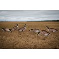 thumbnail image 2 of Real-Geese 1 Douzaine de Leurres Silhouette Vivid Series, 2 of 4