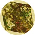 thumbnail image 1 of Ahgly Tapis Rond Lavable en Machine Intérieur Transitionnel Brun Bronze Foncé, 6 Pieds Rond, 1 of 7