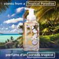 thumbnail image 4 of Scent Theory Foaming Hand Soap, Vanilla Coconut, 11 fl oz, 4 of 9