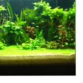 thumbnail image 3 of Milaget 3D Aquarium Universal Landscape Poster Single Sided Background , 122x61cm, 3 of 9