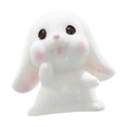 thumbnail image 1 of Small Cute Rabbit Gardening Succulents Resin Decorative Ornaments, 1 of 3