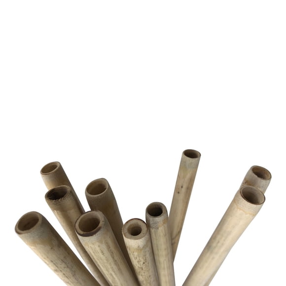 Bio Mart Paille à Boire en Bambou Feuille / 100 % Naturel / Écologique / Robuste et Réutilisable Compostable pour Cour Arrière / Jetable / Biodégradable / Fête à Thème, Mariage / Paille de Bambou / Lot de 4 Ou 10 )