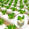 thumbnail image 4 of Yhmxh Fruit And Vegetable Sowing Matrix Hydroponic Cultivation Soilless Cultivation Matrix Sowing Wool Plug Block Garden Decorations Garden Tools, 4 of 6