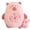 A, variant on Hearth & Gear Capybara Toy With 6 Removable Mini Capybara Inside Snack Pillow Adorable Capybara Cushion Brown Stuffed Animals And Toys