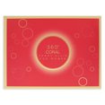 thumbnail image 4 of 360 Corail par PERRY ELLIS, 4 of 5