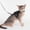 Black_New#24656, variant on Escape Proof Reflective Cat Harness and Leash Set with GPS Tracker Pouch for Small Cats