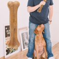thumbnail image 4 of 8 inch Compressed Rawhides Dog Bones Chewing Snack Food Treats Teething Toy, 4 of 9