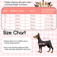 thumbnail image 3 of Robe Tutu Nouée pour Chiot Robes de Princesse pour Petits et Moyens Chats Chiots, 3 of 7