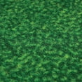 thumbnail image 5 of Fanmats NBA Champion Toronto Raptors Putting Green Mat, 5 of 5