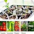 thumbnail image 3 of Blocs de Terreau de Plantation Bouchon Nutrition Blocs de Tourbe Compressée Terre de Coco Tourbe Blocs de Semis Compressés, 3 of 8