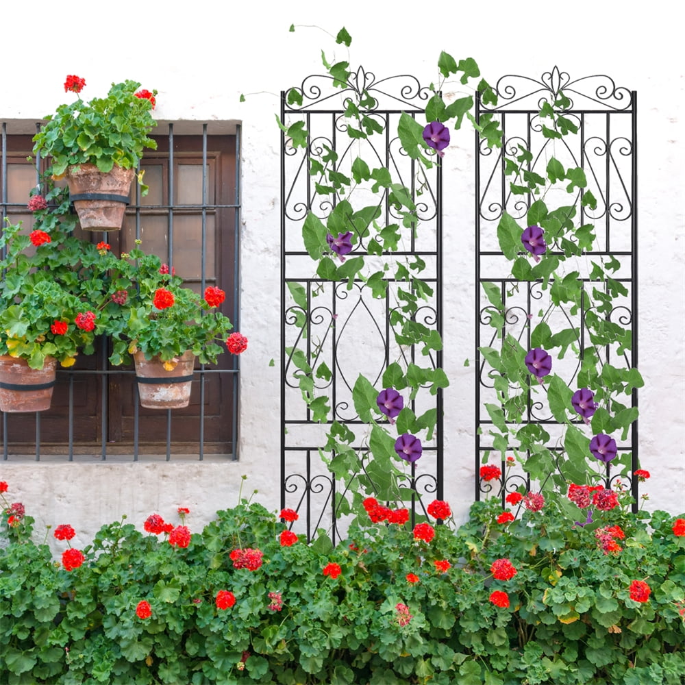 21x72 Inch Metal Garden Trellis 2-Pack – Black Rustproof Fence, Plant Support For Climbing Roses & Vines