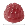 thumbnail image 3 of Jamieson Probiotic Gummies, 2 x 95 gummies, 3 of 3