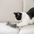 thumbnail image 2 of WIFKLSIIPG Since Hi Cat Toy Cute Sound Paper Pet Toy Tail Toy, 2 of 4
