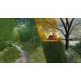 thumbnail image 4 of Farming Simulator 22 (PC), 4 of 6