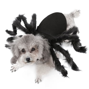 Halloween Déguisement d'Araignée pour Chiens et Chats, Tenue de Fête pour Petits Chiens et Chats