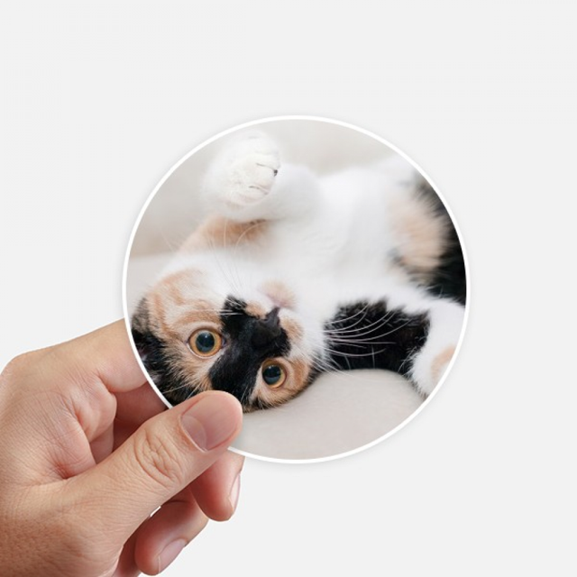 Kitty Cat Stripes Relax Sleep Animal Sticker Round Wall Suitcase Laptop Label Bumper