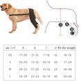 thumbnail image 2 of Dog Knee Brace Back Leg Compression Wrap Injury Support, 2 of 3