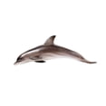 thumbnail image 1 of ZheElen Marine Kids And Shark Educational Toy Models Lifelike Toy Model Shark dolphin, 1 of 6
