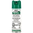 thumbnail image 1 of Great Outdoors Insect Repellent Spray, 175 g Aerosol 25% Deet Adults, 1 of 3