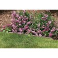 thumbnail image 2 of Suncast Quick Edge 35 Inch Single Strip Resin Lawn Edging, Flagstone (4 Pack), 2 of 2