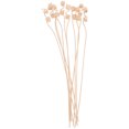 thumbnail image 1 of 10Pcs Reed Diffuser Sticks Thick Rattan Room Oil Fragrance Diffuser Refill Sticks Aromatherapy Sticks, 1 of 5