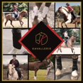 thumbnail image 4 of Kavallerie Bottes Classiques Fetlock, Matériau Absorbant les Chocs et Perforé à l'Air, Durable et Distribue Uniformément la Pression, Protection contre les Blessures Fetlock, Antidérapant avec Doublure Douce Botte de Saut, 4 of 4