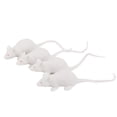 thumbnail image 4 of 12x Rats Halloween Rodents Model Toy Mouse, 4 of 8