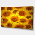 thumbnail image 2 of Arrière-plan Décoratif de Têtes de Tournesol - Grande Impression d'Art Floral sur Toile, 2 of 4