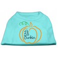 thumbnail image 1 of Lil Punkin Screen Print Dog Shirt Aqua Med (12), 1 of 1