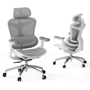 SIHOO Bureau ergonomique Président Doro C300 chaise de bureau d'ordinateur Chaise en mesh haut dos avec 3D Accoudoirs de liaison & 4-Position dossier réglable pour Wide Seat pour grand et Tall-300lbs-White