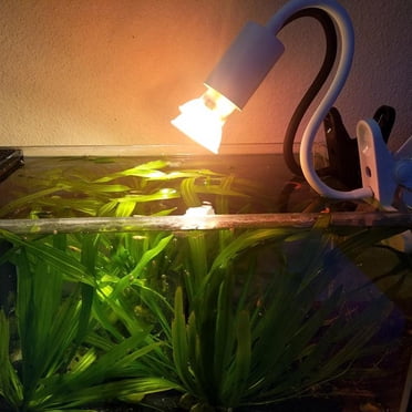 Lamp, Basking Lamp with Holder & Switch, UVA UVB Reptile Lamp with Flexible Clip 2