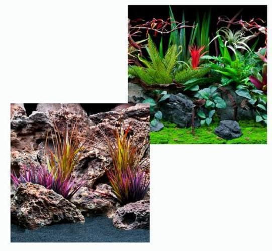 Marina Fond d'Aquarium Double Face, Flore de Jungle et Dentelle Rouge, 12 Pouces x 24 Pouces