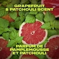 thumbnail image 3 of AXE Infinite Grapefruit & Patchouli Body Spray, Body Spray 113 g, 3 of 5